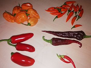 IMG_20180810_193713_586