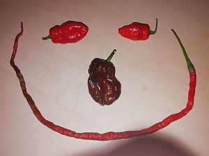 IMG_20180810_165917_796