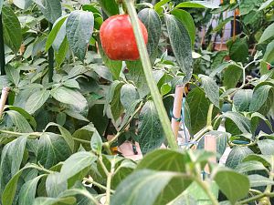 IMG_20180810_190039