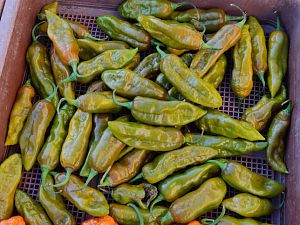 IMG_20180808_070156