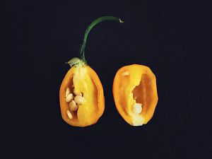 El Oro De Ecuador