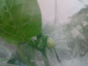 IMG_20180814_143335