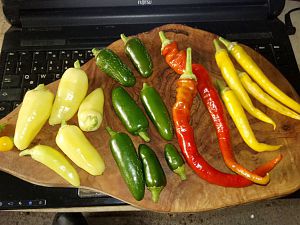 IMG_20180818_134231-01