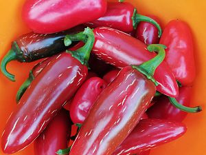 Jalapeños