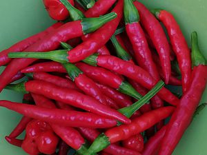 Thais und Habanero Calita