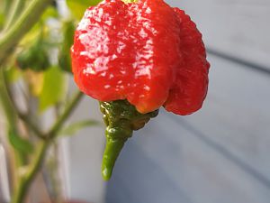 20180818_184747