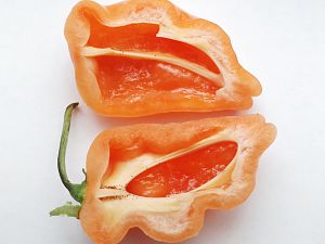 Habanada