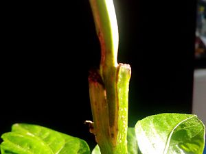 IMG_20180821_185151