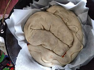 DOpf Calzone