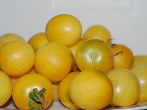 Weißbehaarte
