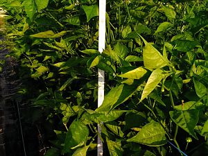 IMG_20180824_075810