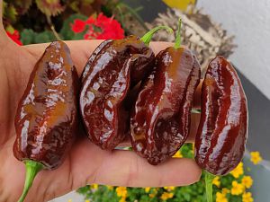 IMG_20180824_123355