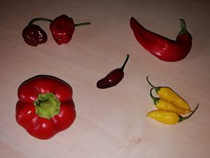 IMG_20180826_161442_589