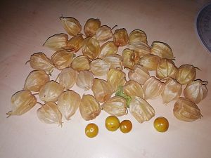IMG_20180826_154745