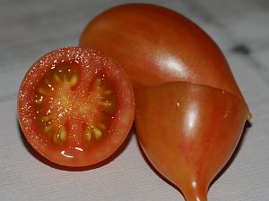 Candy Sweet Icicle - reife Frucht