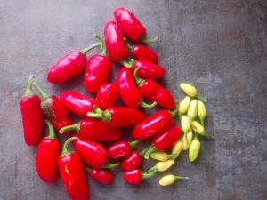 Jalapeno & Habanero White