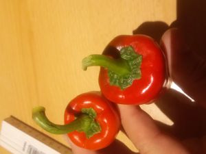 Türkischer Gewürzpaprika