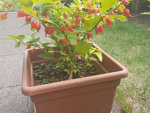 20180902_125627[1]