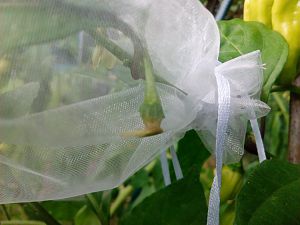 IMG_20180831_163805