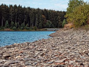 2018_0909_09284100-01