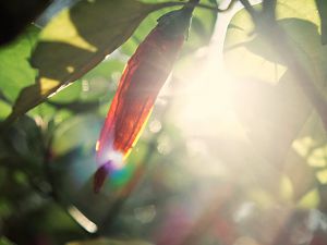 2018_0918_09462200-01