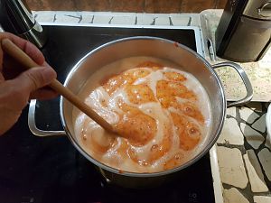 20180929_191857-rocoto-cuencano
