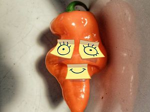 IMG_20181004_110452_977