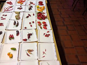 IMG_20181006_182559