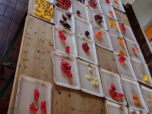 IMG_20181007_111448