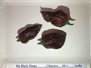 Big_Black_Mama