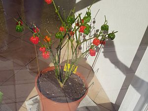 20181010_111132