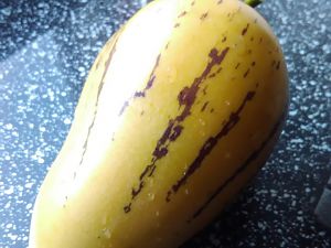 Reife Pepino 4