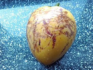 Reife Pepino 2