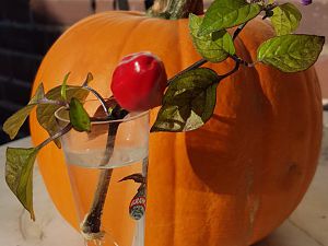 20181015_151232