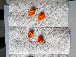 20181015_115109