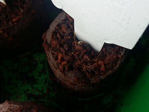 20181215_115641