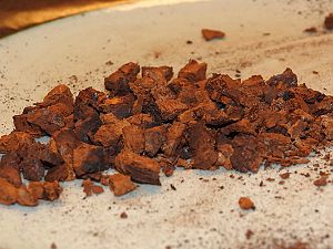 Chaga Pilz