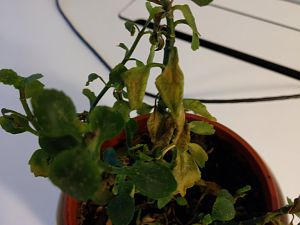 IMAG0040