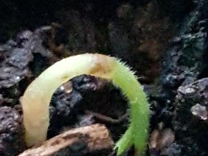 20181220_144812
