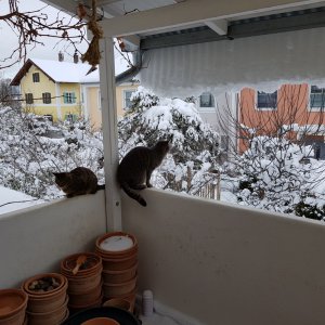 20190111_143411.jpg