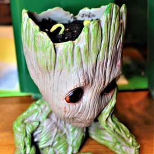 Groot