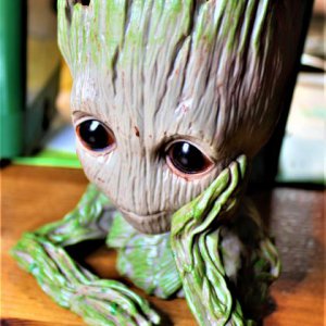 Groot!!!