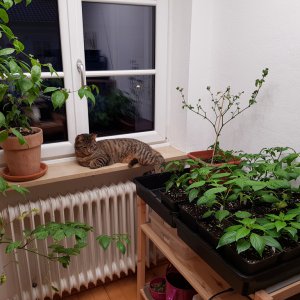 20190125_172051-novemberkinder.jpg