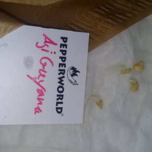 20190127_123951.jpg