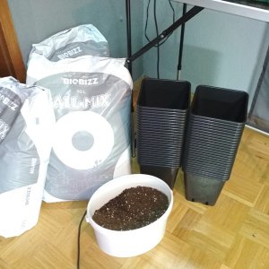 IMG_20190309_081149.jpg