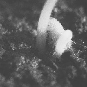 298315D6-F64A-4A21-99A1-D5E3B288E2F0.jpeg