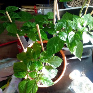IMG_20190330_163014.jpg