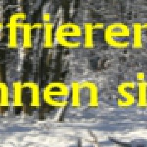 Banner-Frost-Schneewald-927x90.jpg