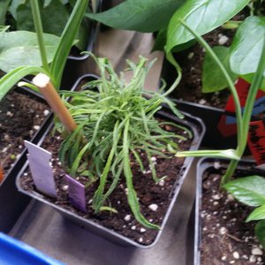 20190406_131413.jpg