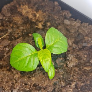 20190328_155838.jpg
